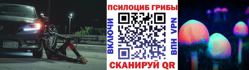 Галлюциногенные грибы GOLDEN TEACHER Купить где Армянск